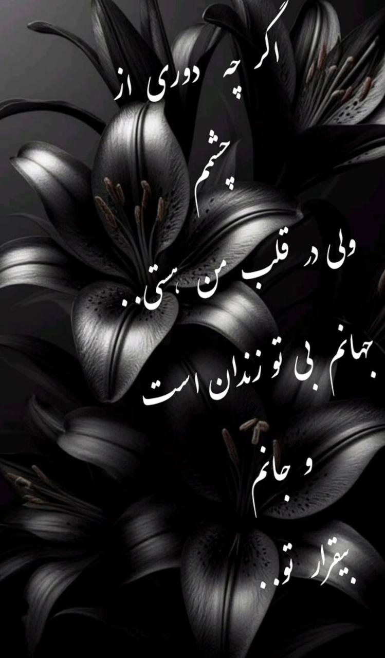 قاب خاطرهٔ 1 از محمد باقری‌نژاد
